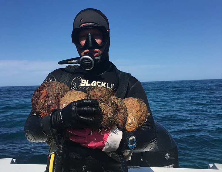 Commercial abalone diver in Eastern Victoria waters